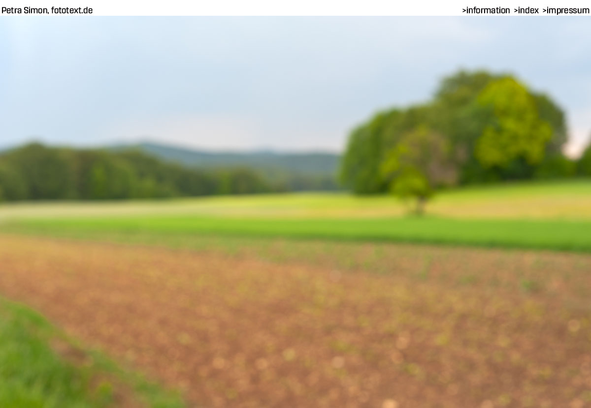 Beispielbild