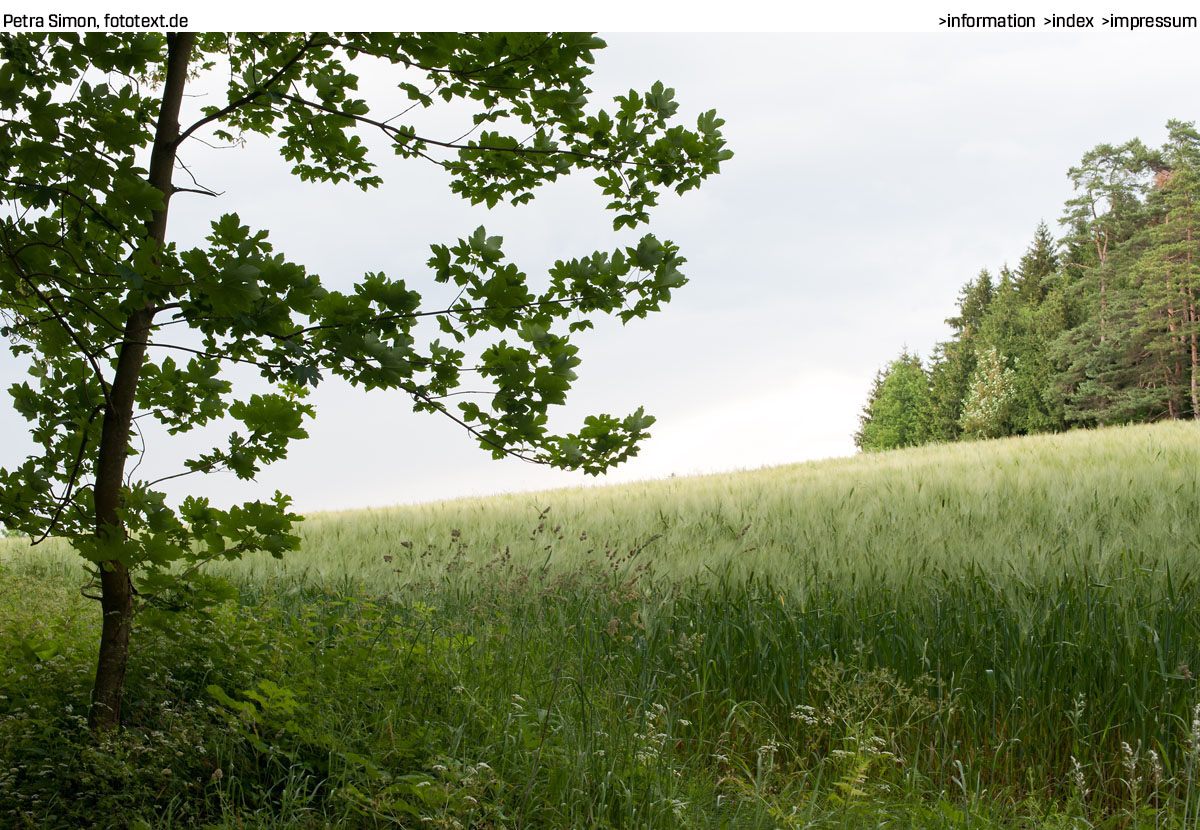 Beispielbild