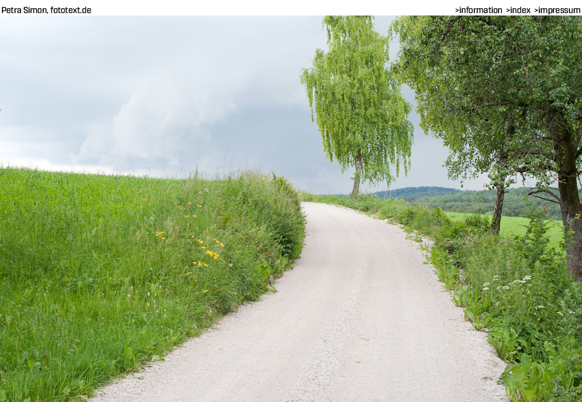 Beispielbild