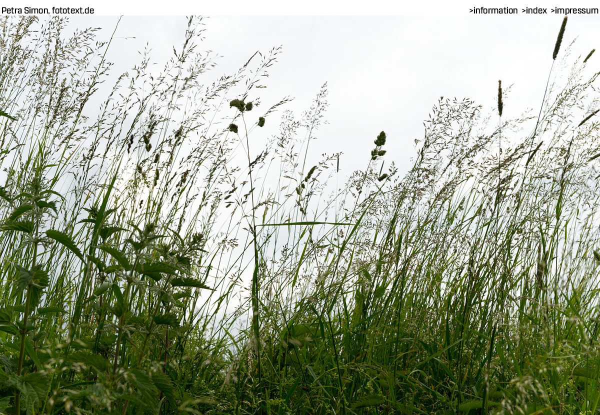 Beispielbild