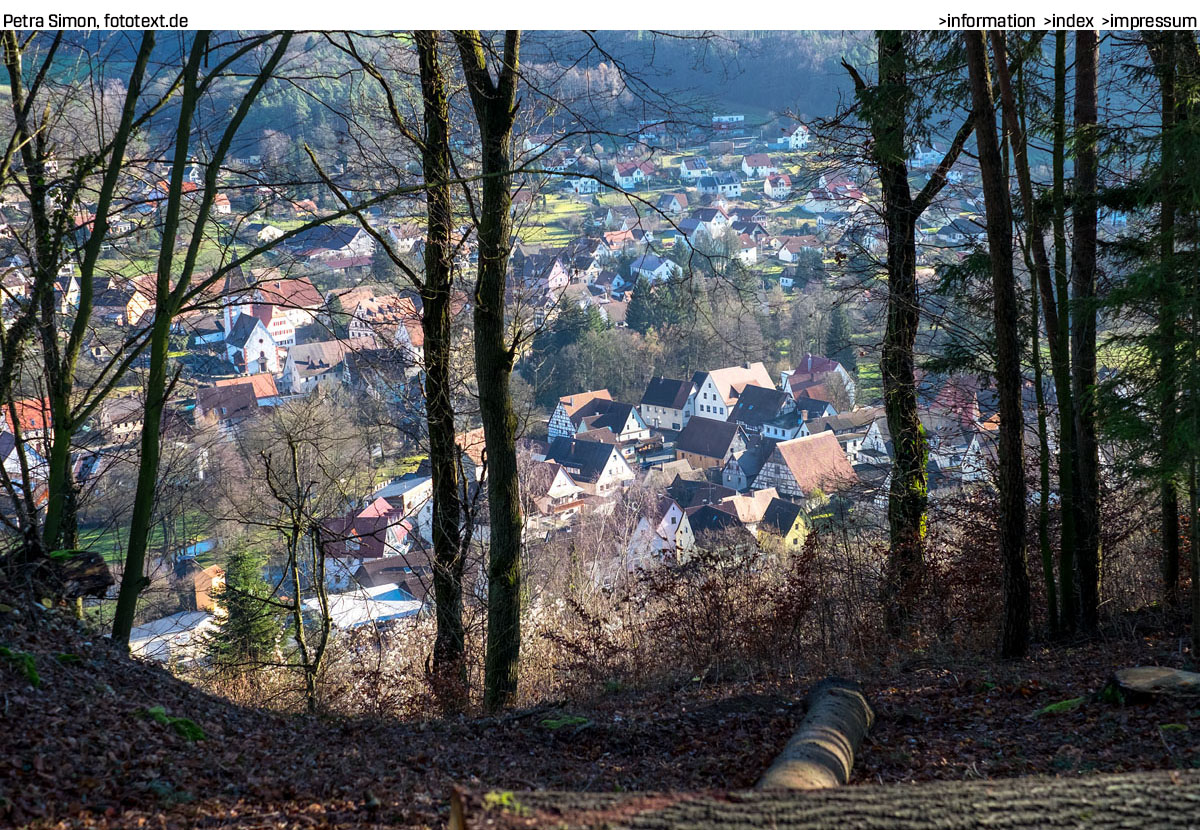 Beispielbild