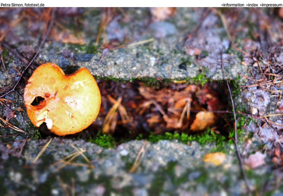 Beispielbild