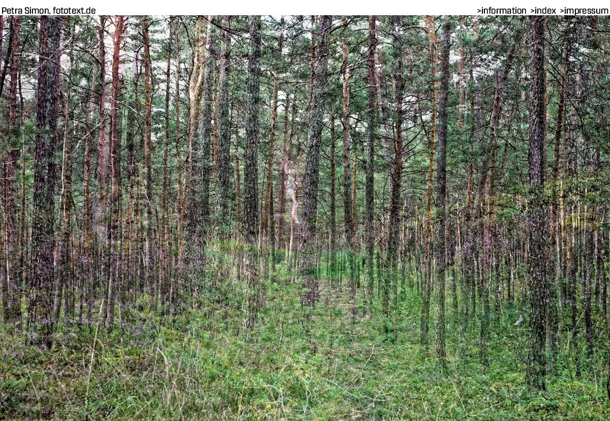 Beispielbild